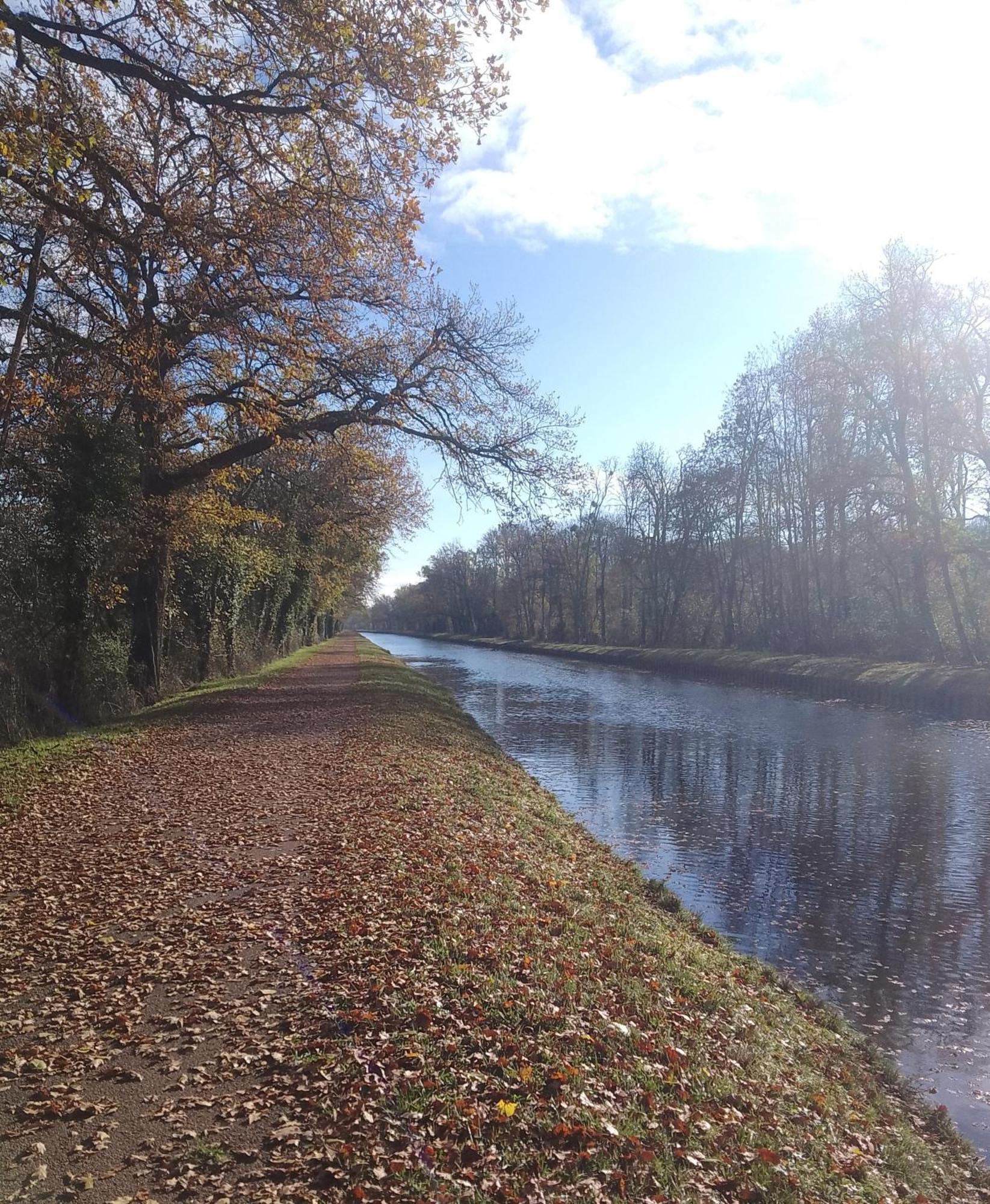 Campsite La Halte Du Canal